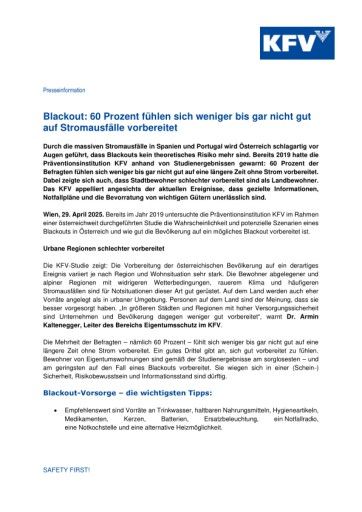 Vorschau Bild zu PDF