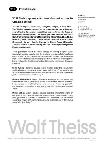 Vorschau Bild zu PDF