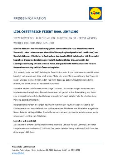 Vorschau Bild zu PDF