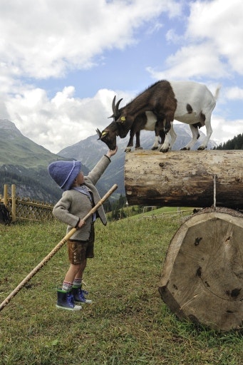 Vorschau Bild zu OTM