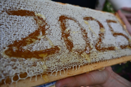 Vorschau Bild zu OTM