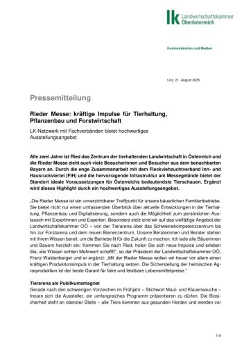 Vorschau Bild zu PDF