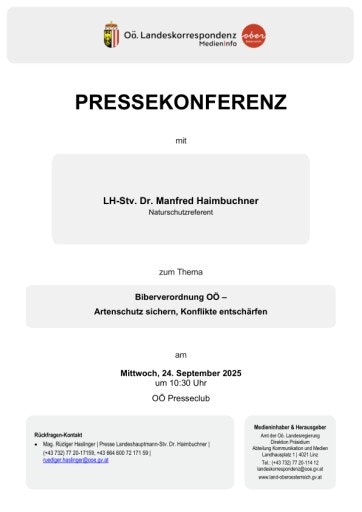 Vorschau Bild zu PDF