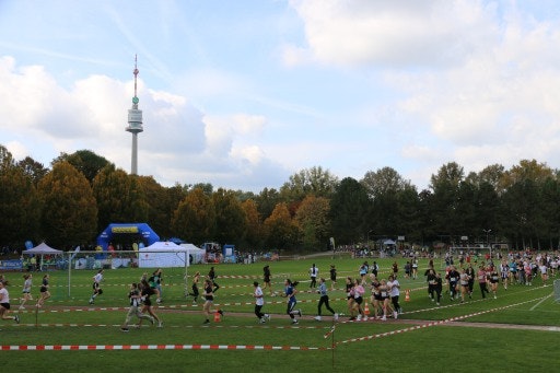 Vorschau Bild zu OTM