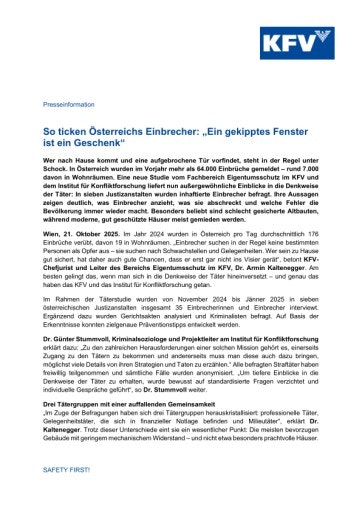 Vorschau Bild zu PDF