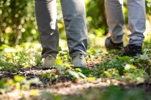 Vorschau Bild zu OTM