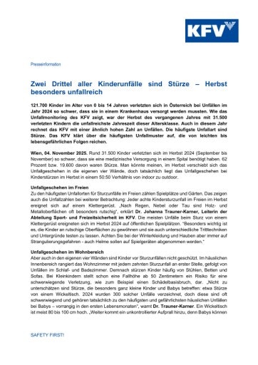 Vorschau Bild zu PDF