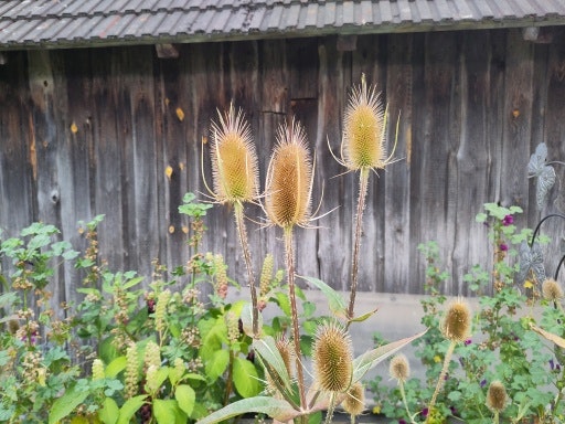 Vorschau Bild zu OTM