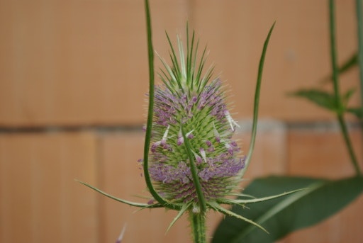 Vorschau Bild zu OTM