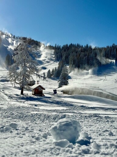 Vorschau Bild zu OTM