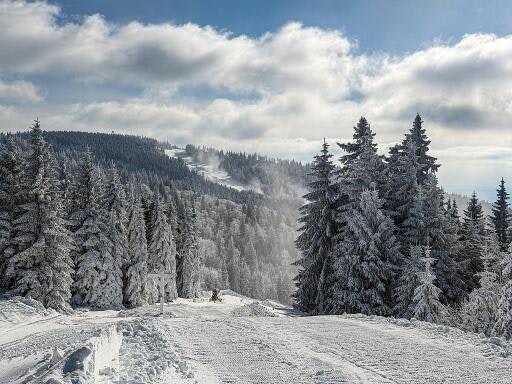 Vorschau Bild zu OTM