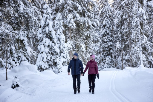 Vorschau Bild zu OTM