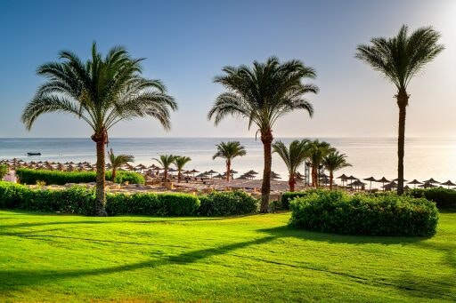 Vorschau Bild zu OTM