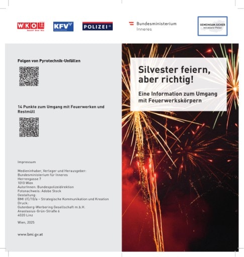 Vorschau Bild zu PDF