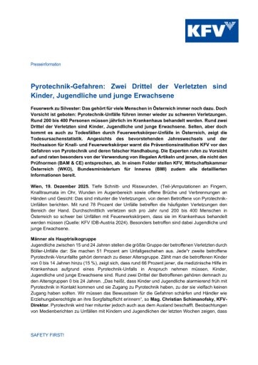 Vorschau Bild zu PDF