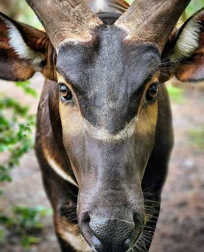 Vorschau Bild zu OTM