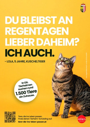 Vorschau Bild zu OTM