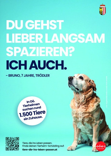 Vorschau Bild zu OTM