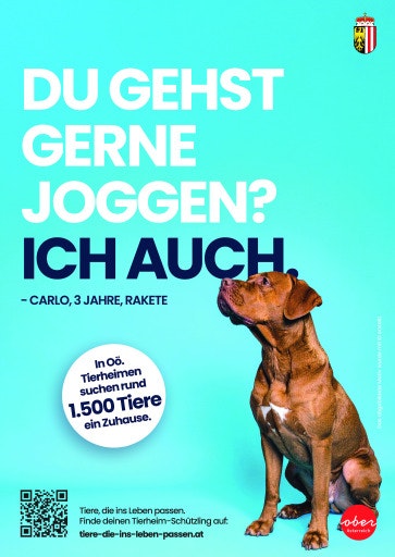 Vorschau Bild zu OTM