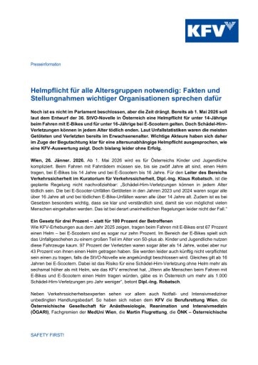 Vorschau Bild zu PDF